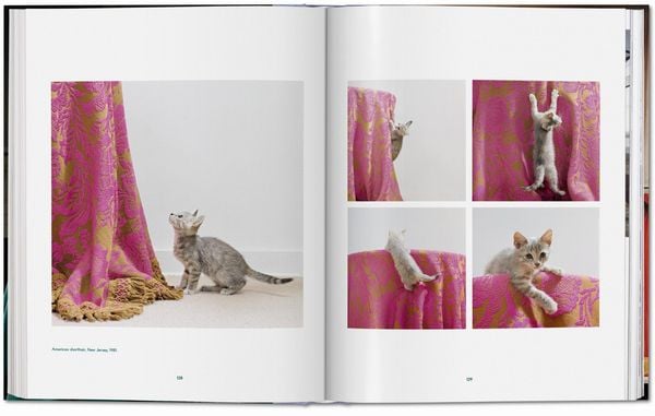 Produktbild: Walter Chandoha. Cats. Photographs 1942&ndash;2018