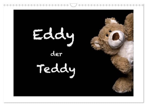 Produktbild: Eddy, der Teddy (Wandkalender 2026 DIN A3 quer), CALVENDO Monatskalender