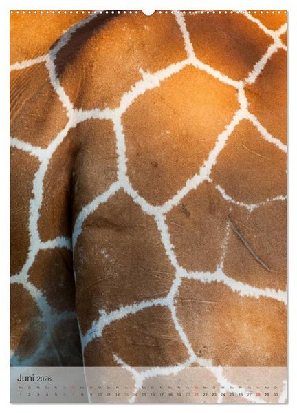 Produktbild: Emotionale Momente: Giraffen, die h&ouml;chsten Tiere der Welt. (hochwertiger Premium Wandkalender 2026 DIN A2 hoch), Kunstdruck in Hochglanz