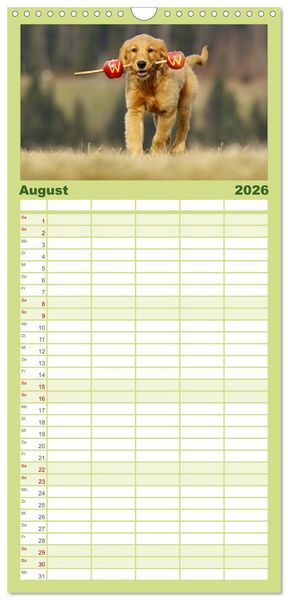 Produktbild: Familienplaner 2026 - Chesley Kleiner Hund grosse Abenteuer mit 5 Spalten (Wandkalender, 21 x 45 cm) CALVENDO