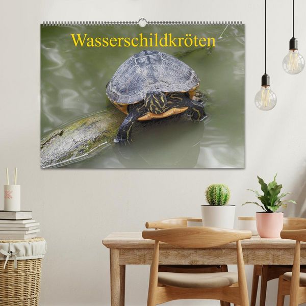 Produktbild: Wasserschildkr&ouml;ten (Wandkalender 2026 DIN A2 quer), CALVENDO Monatskalender