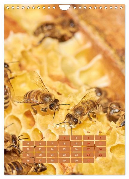 Produktbild: Gesch&auml;ftig wie im Bienenstock (Wandkalender 2026 DIN A4 hoch), CALVENDO Monatskalender