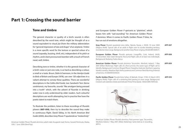Produktbild: Xsound Approach To Birding Hb