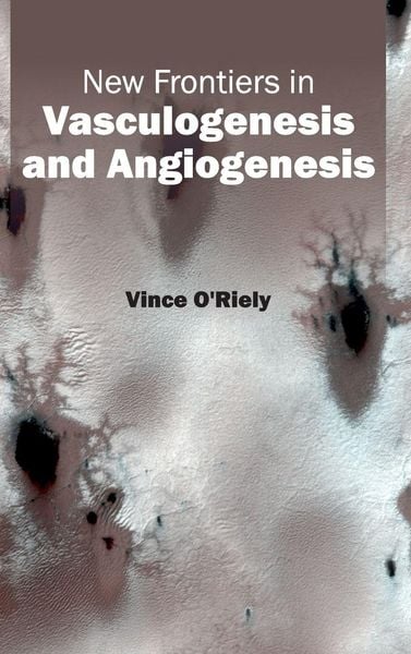 Produktbild: New Frontiers in Vasculogenesis and Angiogenesis