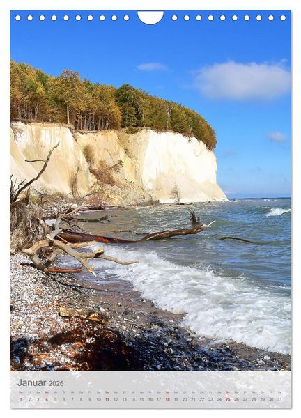 Produktbild: Im Nationalpark Jasmund - Naturwunder auf der Ostseeinsel R&uuml;gen (Wandkalender 2026 DIN A4 hoch), CALVENDO Monatskalender
