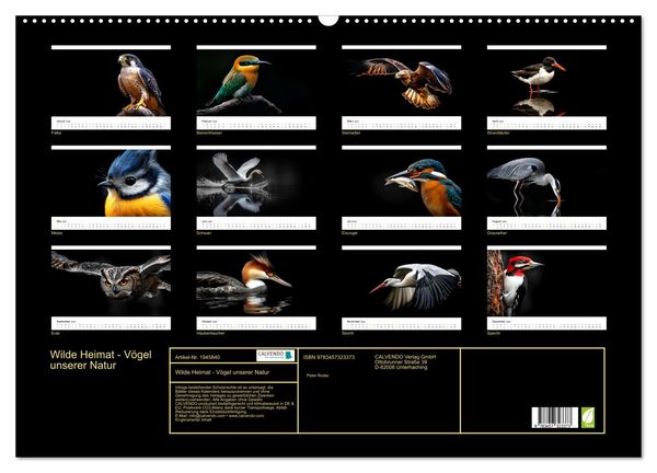 Produktbild: Wilde Heimat - V&ouml;gel unserer Natur (Wandkalender 2026 DIN A2 quer), CALVENDO Monatskalender