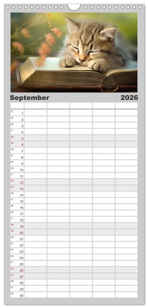 Produktbild: Familienplaner 2026 - B&uuml;cherzauber mit 5 Spalten (Wandkalender, 21 x 45 cm) CALVENDO