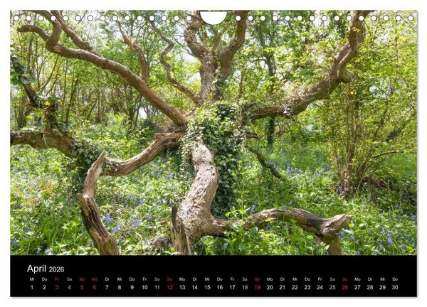 Produktbild: Unterwegs auf der Isle of Wight (Wandkalender 2026 DIN A4 quer), CALVENDO Monatskalender