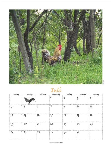 Produktbild: Der H&uuml;hnerkalender 2027