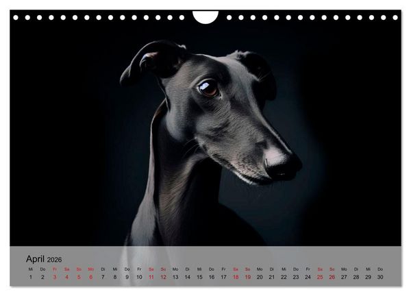 Produktbild: Black is beautiful (Wandkalender 2026 DIN A4 quer), CALVENDO Monatskalender