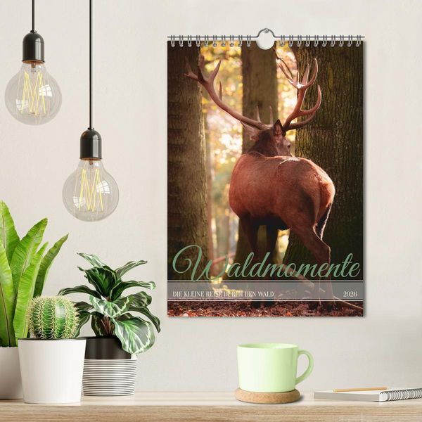 Produktbild: Waldmomente (Wandkalender 2026 DIN A4 hoch), CALVENDO Monatskalender