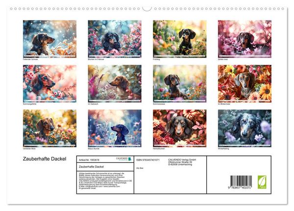 Produktbild: Zauberhafte Dackel (hochwertiger Premium Wandkalender 2026 DIN A2 quer), Kunstdruck in Hochglanz