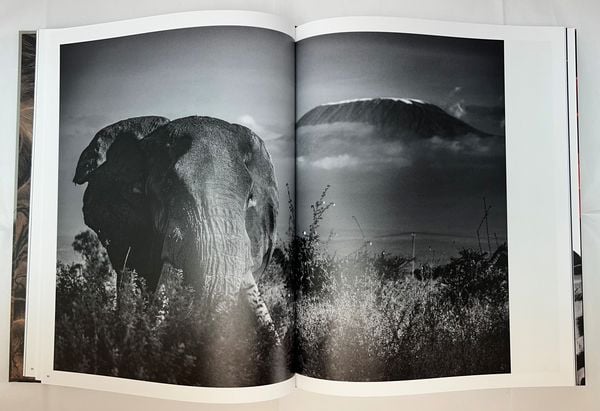 Produktbild: Mital Patel - States of Nature