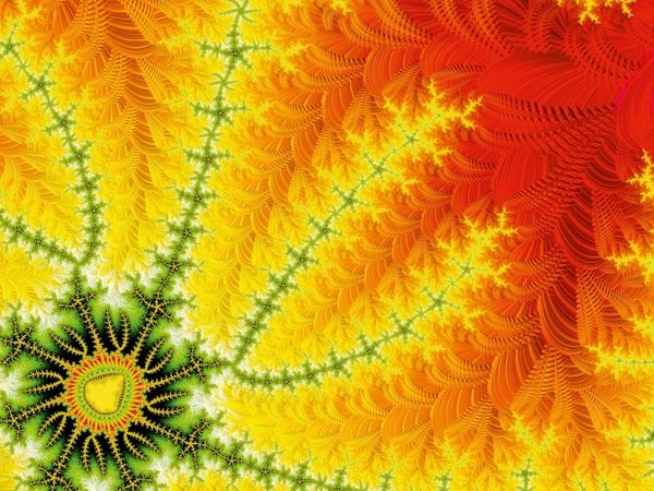 Produktbild: sun seed (Puzzle)
