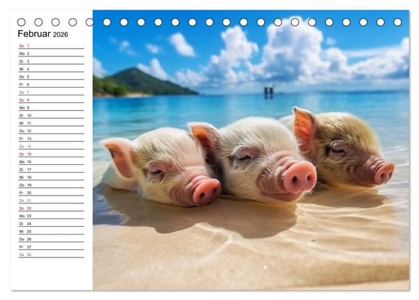 Produktbild: Schweinereien in der Karibik. Sonne und Spa&szlig; mit schwimmenden Schweinen (Tischkalender 2026 DIN A5 quer), CALVENDO Monatskalender