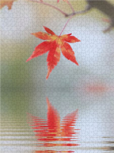 Produktbild: CALVENDO Puzzle herbstliches Ahornblatt mit Spiegelung 1000 Teile Lege-Gr&ouml;&szlig;e 48 x 64 cm Foto-Puzzle Bild von SusaZoom