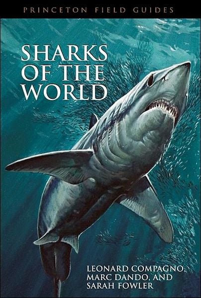 Produktbild: Sharks of the World