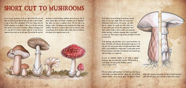 Produktbild: Recipes from the Shirefolk