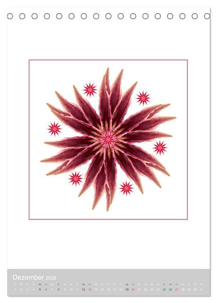 Produktbild: Pflanzen - Mandalas aus Bl&uuml;ten und Bl&auml;ttern (Tischkalender 2026 DIN A5 hoch), CALVENDO Monatskalender