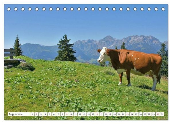 Produktbild: Die Alpen im Herzen von &Ouml;sterreich (Tischkalender 2026 DIN A5 quer), CALVENDO Monatskalender