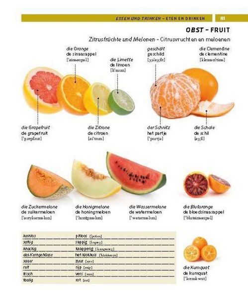 Produktbild: PONS Bildw&ouml;rterbuch Niederl&auml;ndisch