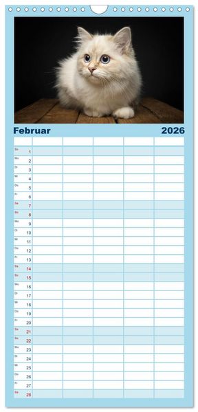 Produktbild: Familienplaner 2026 - Heilige Birma Katzen Kalender mit 5 Spalten (Wandkalender, 21 x 45 cm) CALVENDO