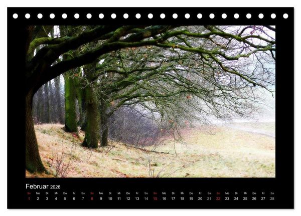 Produktbild: Landschaft Teufelsmoor / 2026 (Tischkalender 2026 DIN A5 quer), CALVENDO Monatskalender