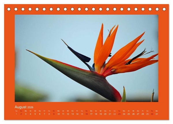 Produktbild: Aloha Bl&uuml;tenzauber aus Hawaii (Tischkalender 2026 DIN A5 quer), CALVENDO Monatskalender