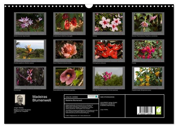 Produktbild: Madeiras Blumenwelt (Wandkalender 2027 DIN A3 quer), CALVENDO Monatskalender