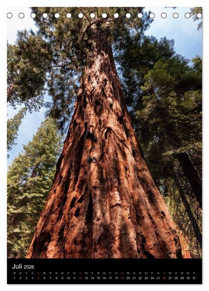 Produktbild: Idylle Pur - Der Yosemite National Park (Tischkalender 2026 DIN A5 hoch), CALVENDO Monatskalender