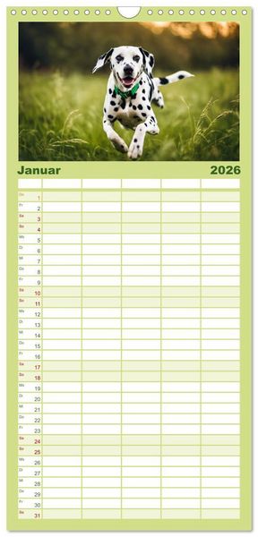 Produktbild: Familienplaner 2026 - Dalmatiner - freundliche Temperamentsbolzen mit 5 Spalten (Wandkalender, 21 x 45 cm) CALVENDO