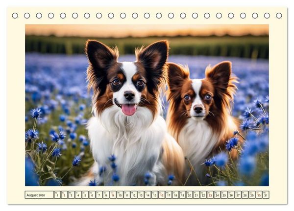 Produktbild: Winzlinge der Hundewelt (Tischkalender 2026 DIN A5 quer), CALVENDO Monatskalender