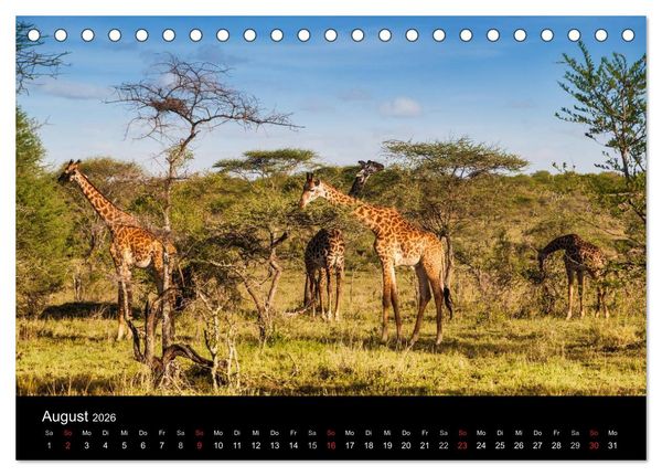 Produktbild: Wildes Afrika (Tischkalender 2026 DIN A5 quer), CALVENDO Monatskalender