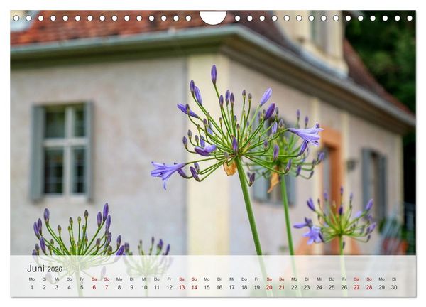 Produktbild: Schloss Favorite &ndash; Ein Park im Wandel der Jahreszeiten (Wandkalender 2026 DIN A4 quer), CALVENDO Monatskalender