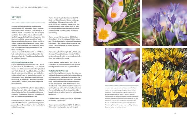 Produktbild: Robuste Traumbeete gestalten