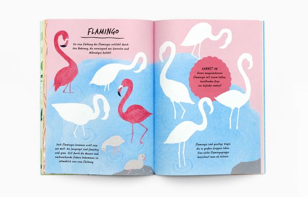 Produktbild: Zeichne wie die Natur: Farben