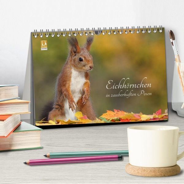 Produktbild: Eichh&ouml;rnchen in zauberhaften Posen (Tischkalender 2026 DIN A5 quer), CALVENDO Monatskalender