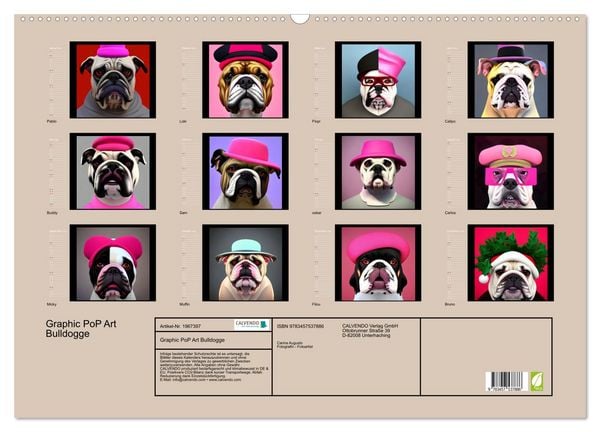 Produktbild: Graphic PoP Art Bulldogge (Wandkalender 2026 DIN A2 quer), CALVENDO Monatskalender