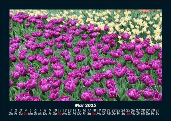 Produktbild: Blumenzauber 2025 Fotokalender DIN A5
