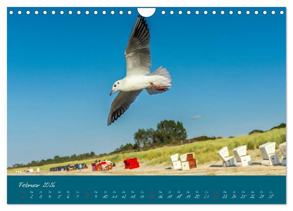 Produktbild: Blick auf die Halbinsel Fischland, Dar&szlig; und Zingst (Wandkalender 2026 DIN A4 quer), CALVENDO Monatskalender