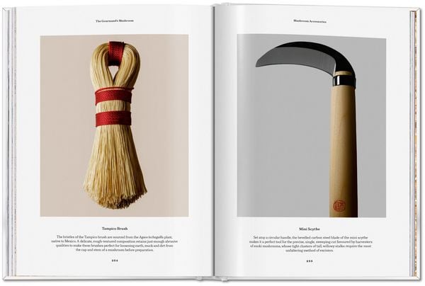 Produktbild: The Gourmand's Mushroom