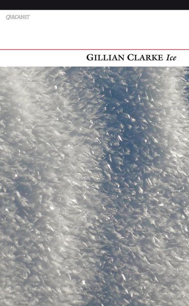 Produktbild: Ice