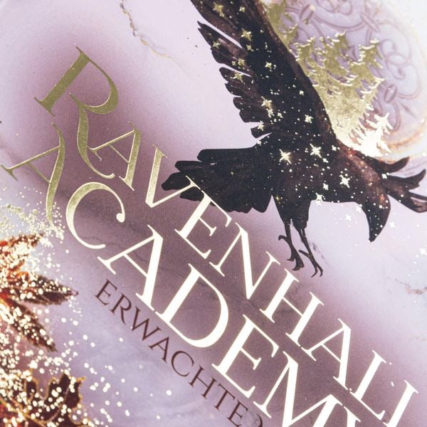 Produktbild: Ravenhall Academy 2: Erwachte Magie