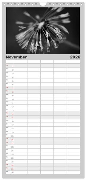 Produktbild: Familienplaner 2026 - Pusteblume - Impressionen in schwarzwei&szlig; mit 5 Spalten (Wandkalender, 21 x 45 cm) CALVENDO