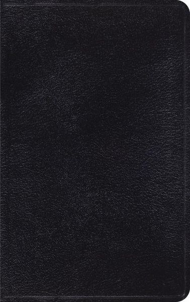 Produktbild: Classic Thinline Bible-Esv