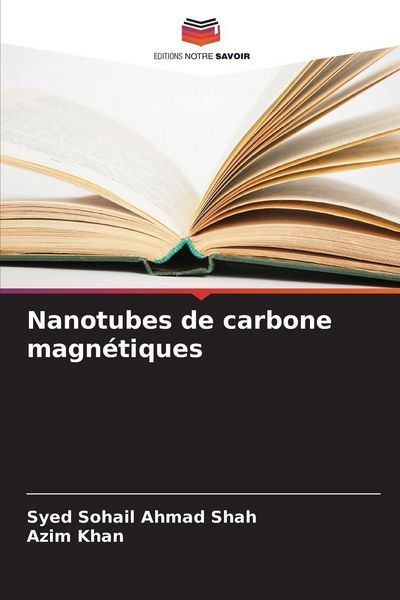 Produktbild: Nanotubes de carbone magn&eacute;tiques