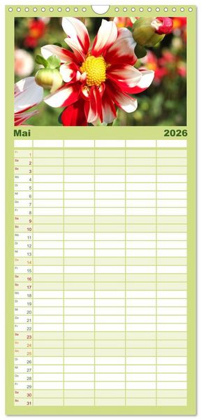 Produktbild: Familienplaner 2026 - Traumhafte Dahlien mit 5 Spalten (Wandkalender, 21 x 45 cm) CALVENDO
