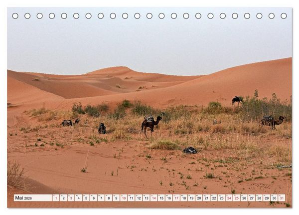Produktbild: Die SAHARA in Marokko, Faszinierende W&uuml;stenregionen (Tischkalender 2026 DIN A5 quer), CALVENDO Monatskalender