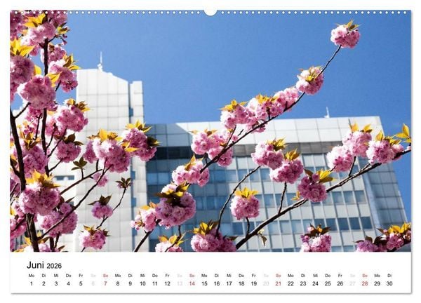 Produktbild: Bonn - Kirschbl&uuml;tenfest in der Altstadt (hochwertiger Premium Wandkalender 2026 DIN A2 quer), Kunstdruck in Hochglanz