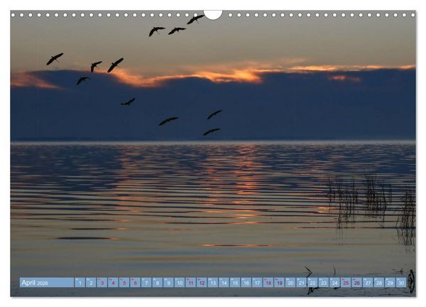 Produktbild: Stralsund und die Boddenlandschaft (Wandkalender 2026 DIN A3 quer), CALVENDO Monatskalender